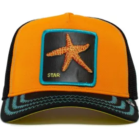 Baby I'm A Star- Orange