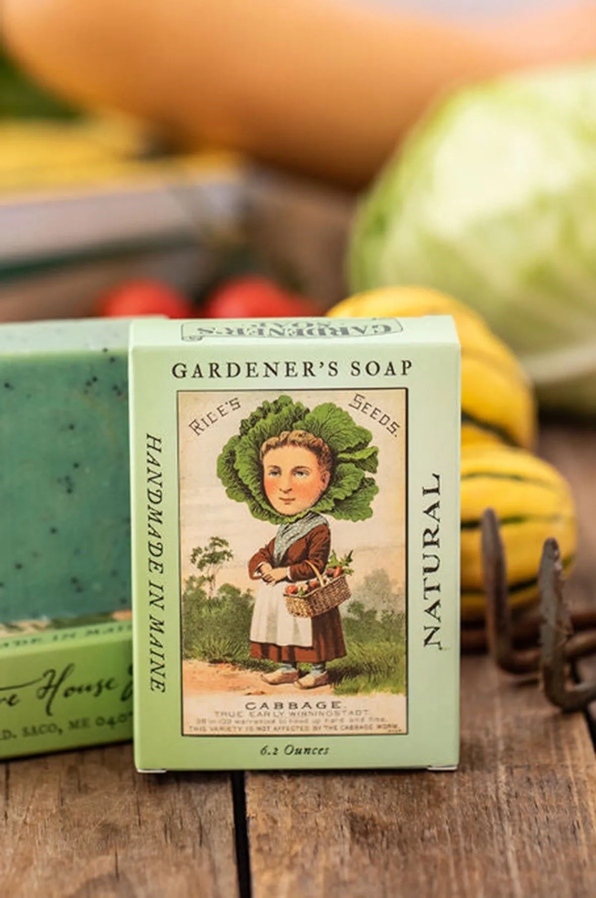 Gardener's Soap Cabbage