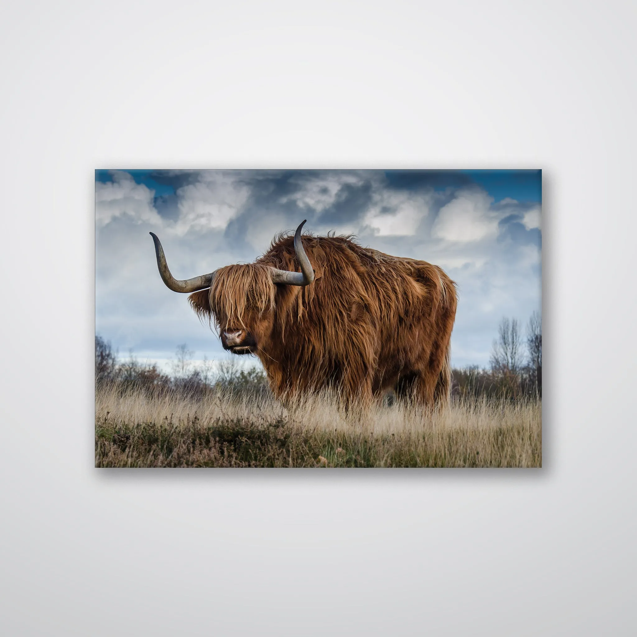 Roaming Yak - Print