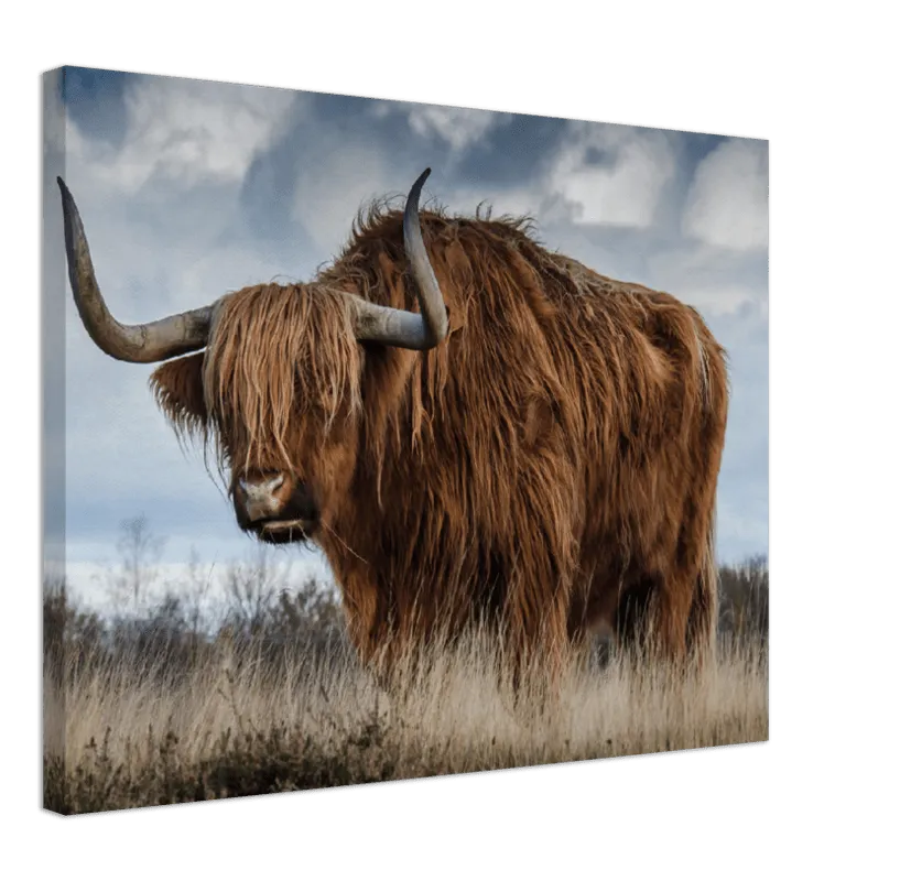 Roaming Yak - Print